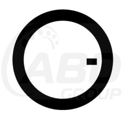 Flange Gasket