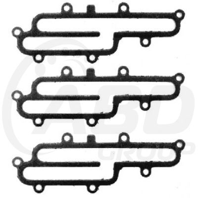 EGR Gasket (3)