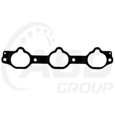 Gaskets Manifold