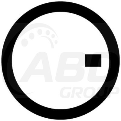 Flange Gasket