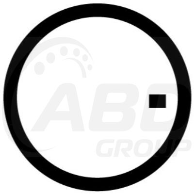 Flange Gasket