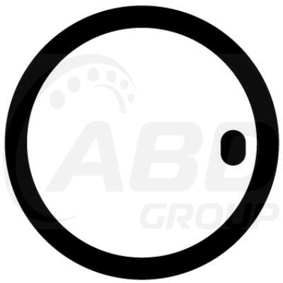 Flange Gasket
