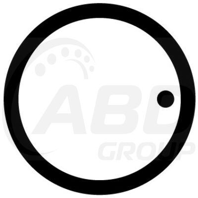 Flange Gasket