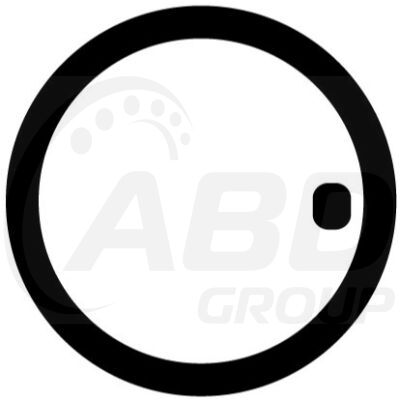Flange Gasket