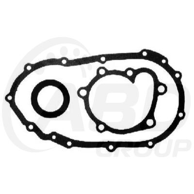 Timing Cover Gasket Set