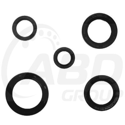 Timing Chain Kit
